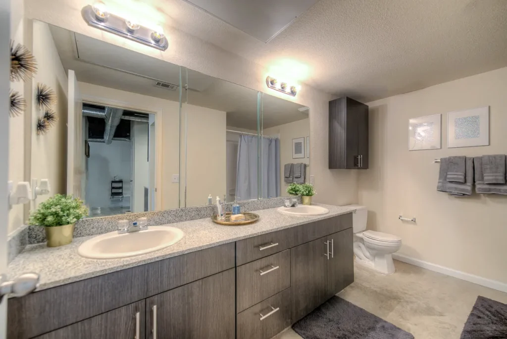 Warehouse and Factory Apartments at Northgate Walk-In Shower